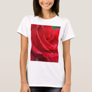 Single red rose blossoms T-Shirt