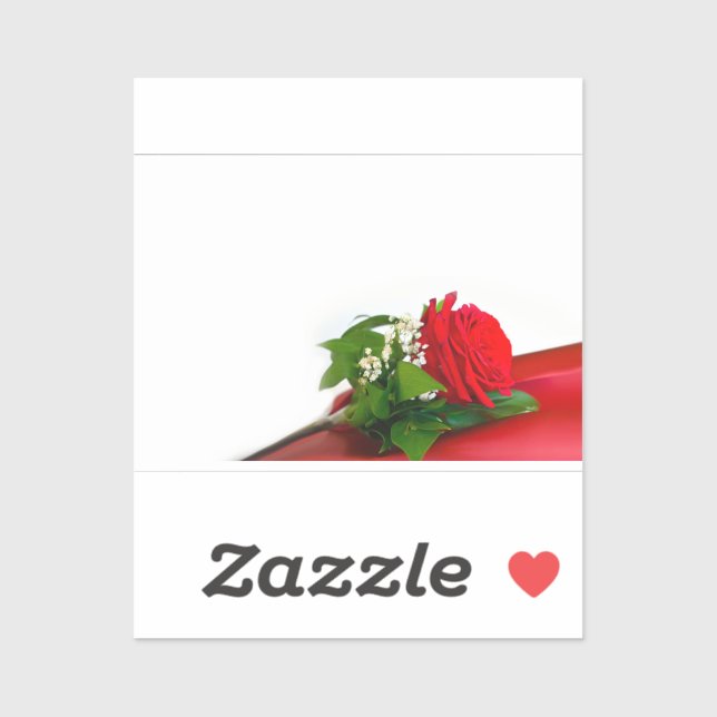 Single Red Rose – Floral White Background (Sheet)
