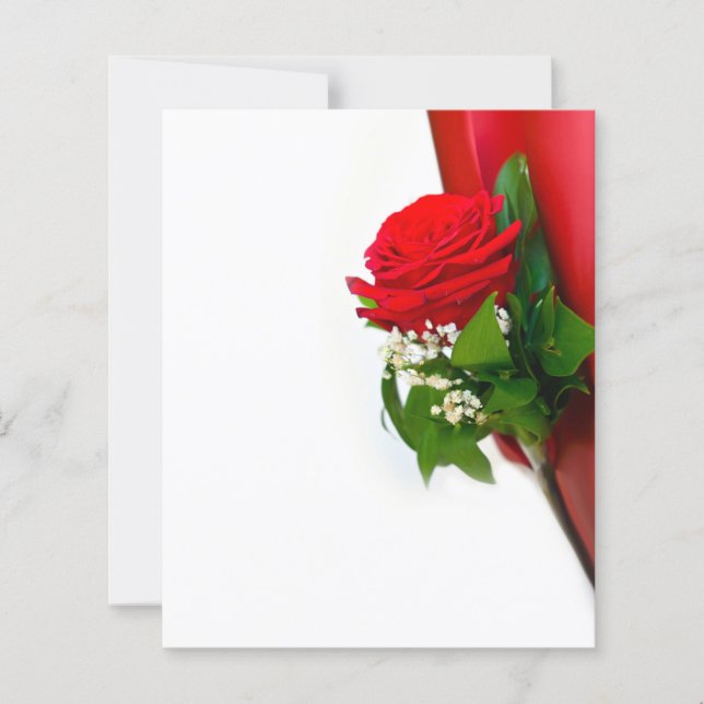 Single Red Rose – Floral White Background (Front)