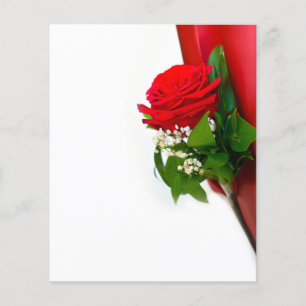 Single Red Rose – Floral White Background Flyer