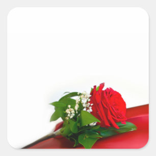 Single Red Rose – Floral White Background Square Sticker