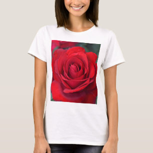 Single red rose in full bloom T-Shirt