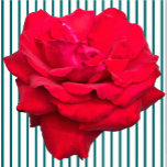 Single Red Rose Sculpture  Standing Photo Sculpture<br><div class="desc">This Single Red Rose design from Zazzle and Elizabeth's Creative Pursuits features a single red rose. It is also available with a single yellow rose, a single pink rose, or a single white rose. Red roses symbolize love and passion, yellow roses symbolize friendship, pink roses symbolize admiration or affection, and...</div>