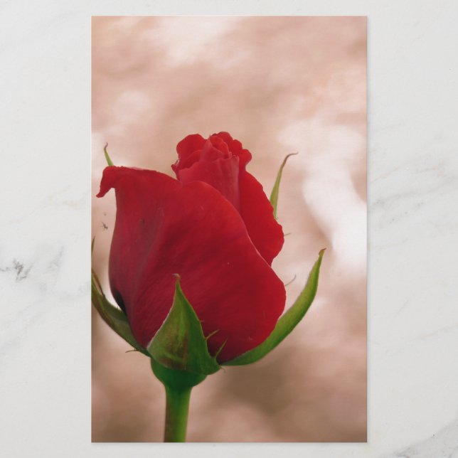Single Red Rose Stationery (Front)