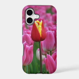Single red tulip