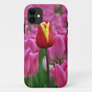 Single red tulip iPhone 11 case