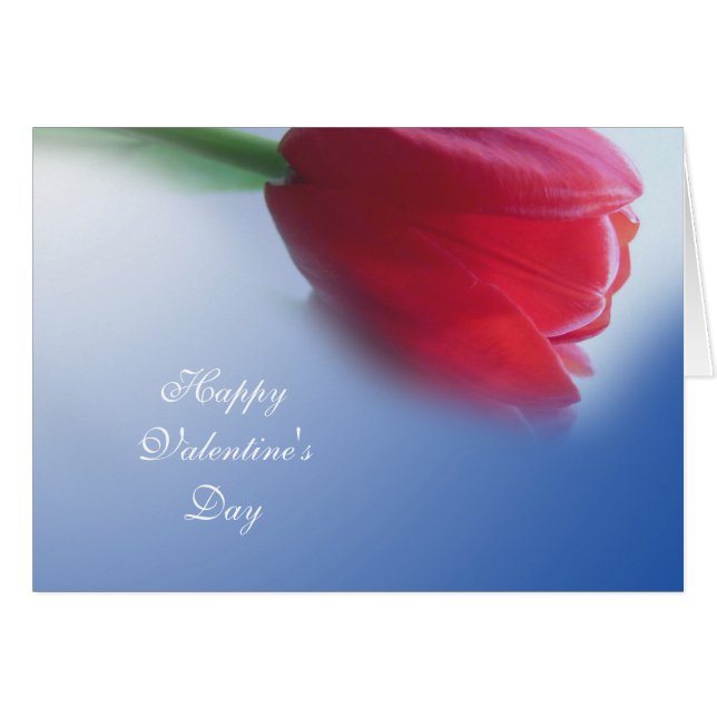 Single red tulip flower (Front Horizontal)