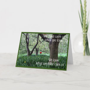 Single Red Tulip for Love and Caring  Card