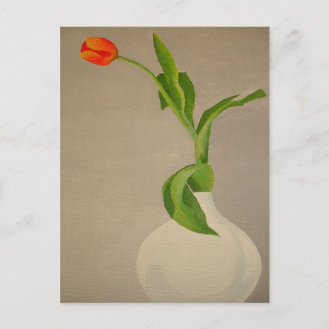 Single Red Tulip In A White Vase Postcard (Front)
