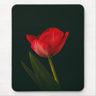 Single Red Tulip Mouse Pad