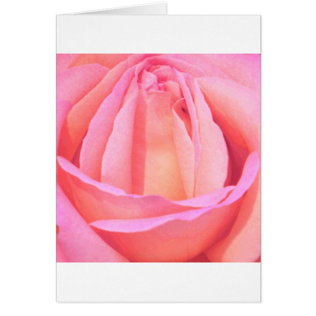 Single Rose_ (Front)