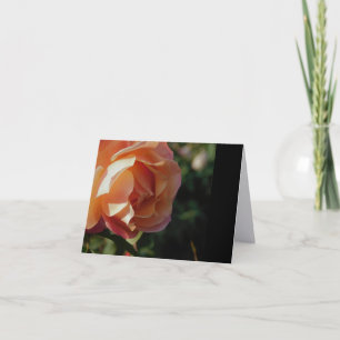 Single Rose Fine Art Minimalist Note Cards