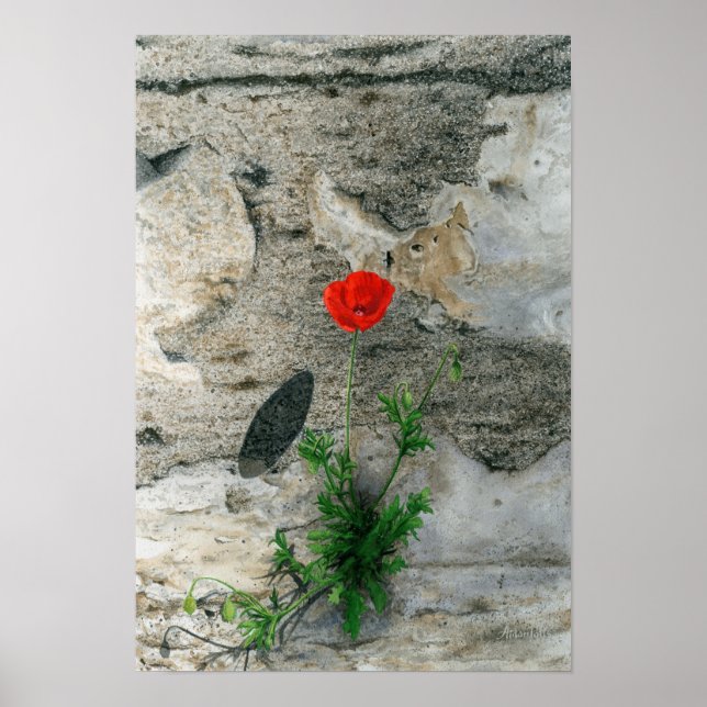 Single Round Shadow Poster (Front)