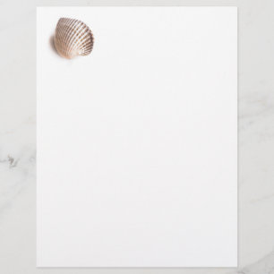 Single seashell
