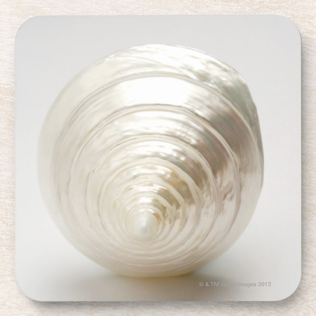 Single spiral seashell coaster (Front)