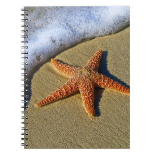 Single Starfish on Beach Notebook