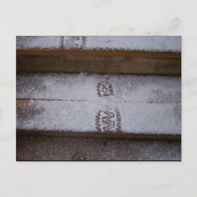 Single Step Postcard (Front)