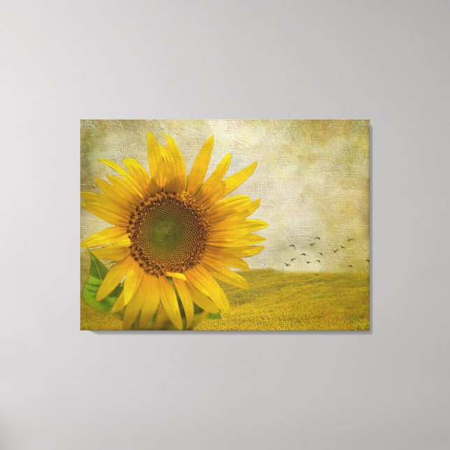 Single Sunflower on sunflower pasture Canvas Print (Front)