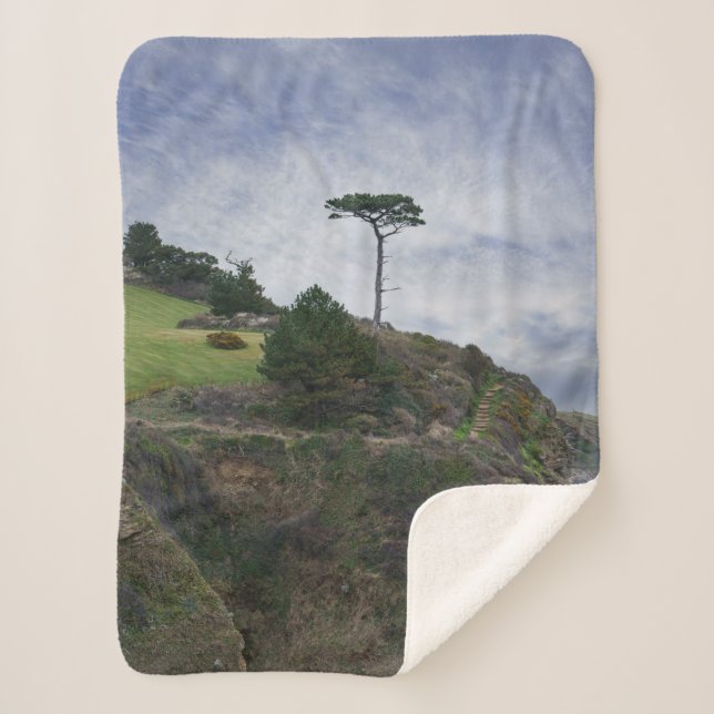 Single Tree At Thatcher Rock Sherpa Blanket (Front)