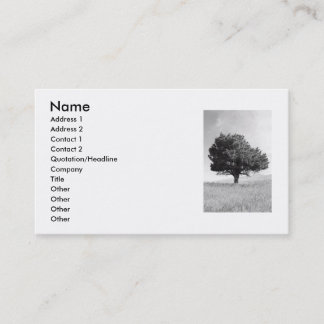 Single Tree Business Card