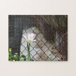 Single Tulip and Chain Fence New York City NYC Jigsaw Puzzle