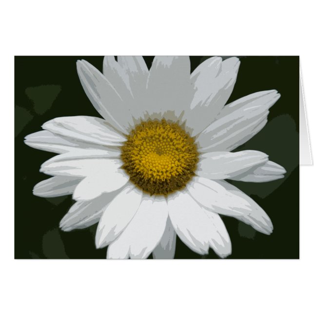 Single White Daisy (Front Horizontal)