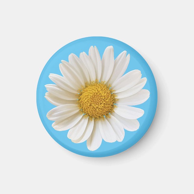 Single White Daisy on Sky Blue Magnet (Front)