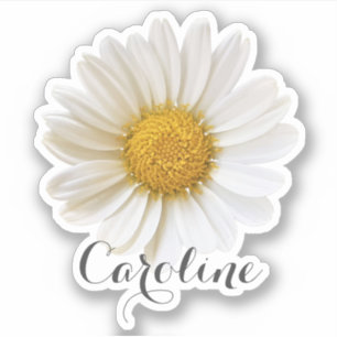 Single White Daisy with Custom Name