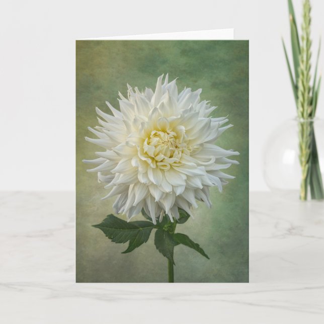 Single white flower card (Front)