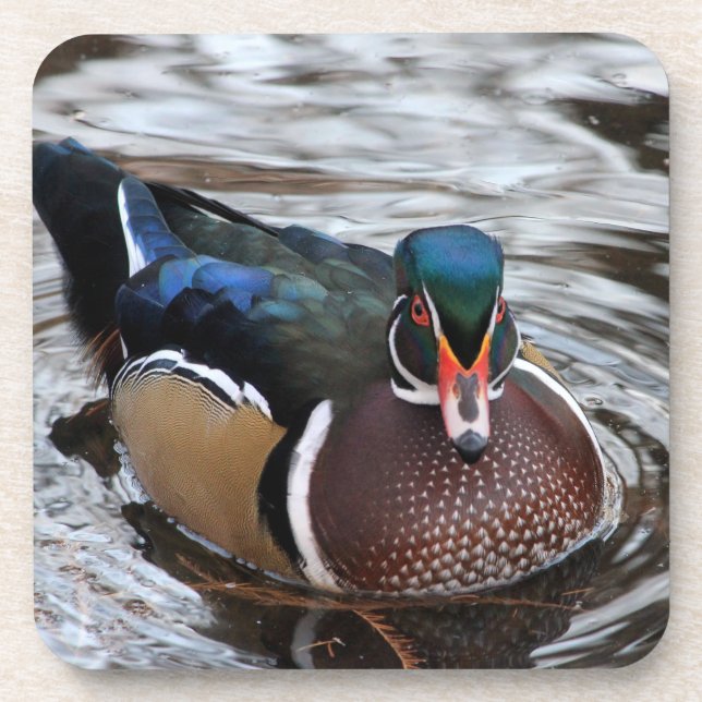 Single Wood Duck Coaster (Front)