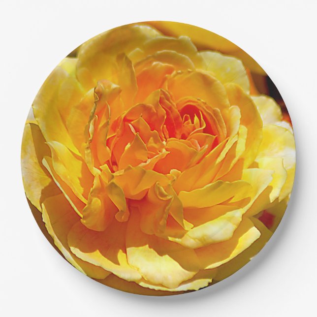 Single yellow rose   paper plate (Front)