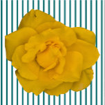 Single Yellow Rose Sculpture  Standing Photo Sculpture<br><div class="desc">This SingleYellow Rose design from Zazzle and Elizabeth's Creative Pursuits features a single yellow rose. It is also available with a single pink rose, a single red rose, or a single white rose. Red roses symbolize love and passion, yellow roses symbolize friendship, pink roses symbolize admiration or affection, and white...</div>