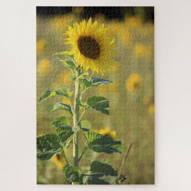 Single Yellow Sunflower Jigsaw Puzzle (Vertical)