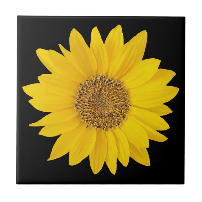 Single Yellow Sunflower on Black Ceramic Tile (Front)