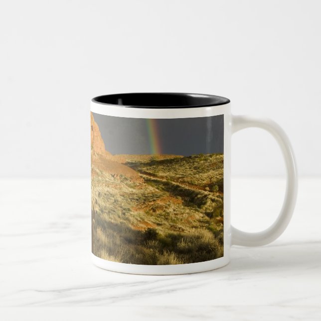 Singletrack at Red Cliffs Desert Preserve near Two-Tone Coffee Mug (Right)