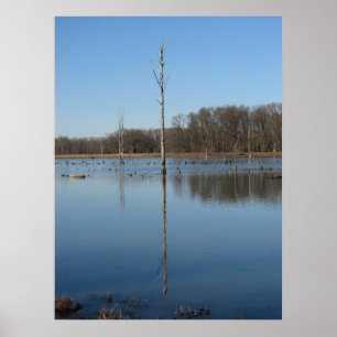 Singular reflection poster