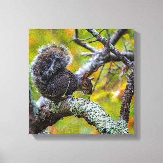 SINISTER SQUIRREL WRAPPED CANVAS PRINT (Front)