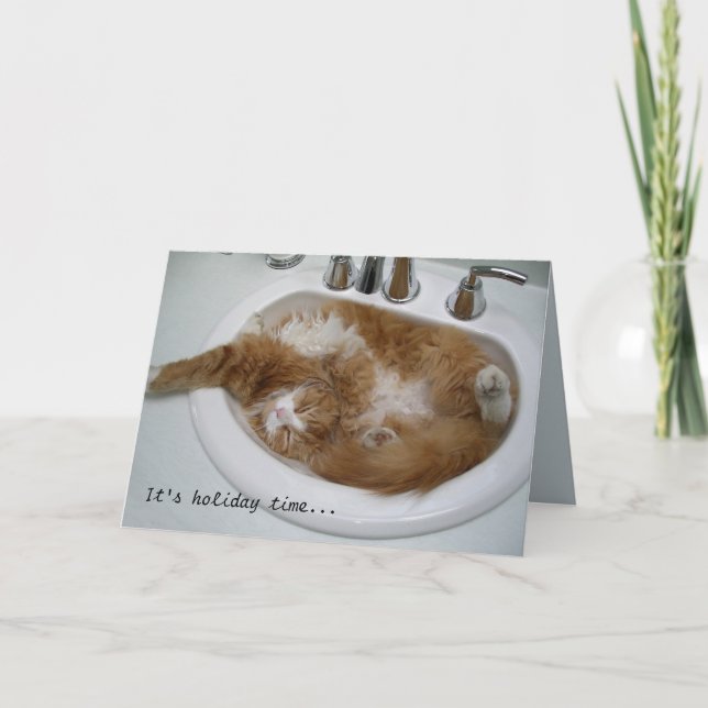 Sink cat holiday card (Front)
