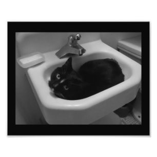 Sink Fun Photo Print
