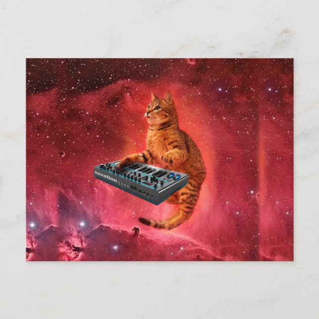 Sinthesizer cat in red space postcard (Front)