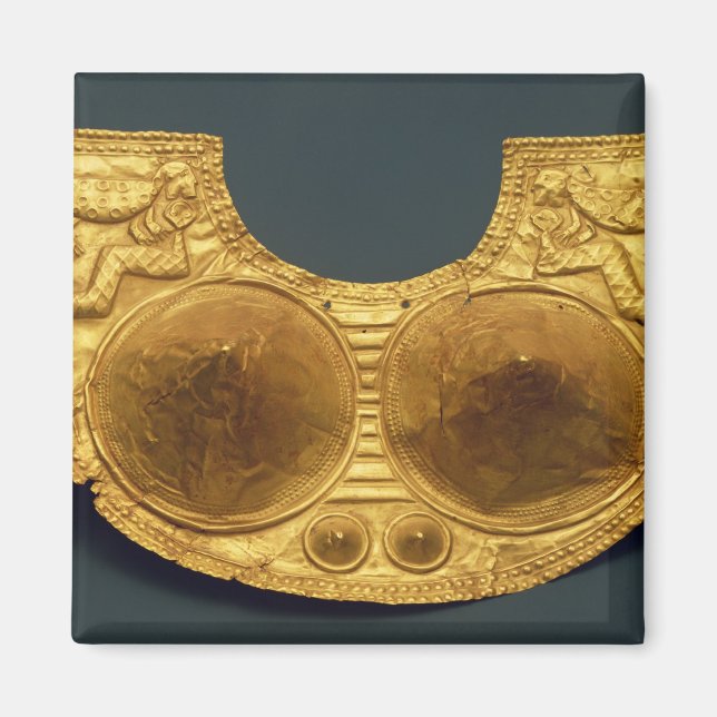 Sinu breastplate magnet (Front)