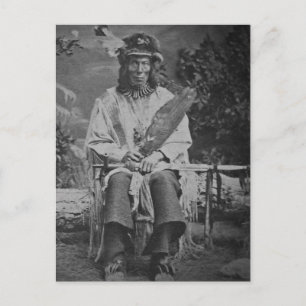 Sioux Chief Medicine Bear Vintage Postcard