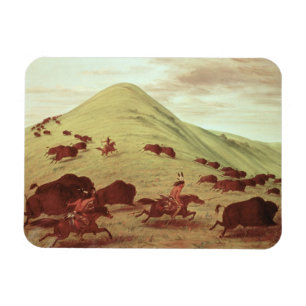 Sioux Indians hunting buffalo, 1835 (oil on canvas Magnet