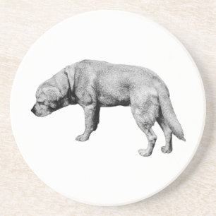 Sip, Notice, Carry On Coaster