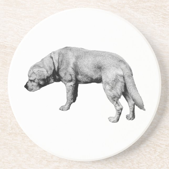 Sip, Notice, Carry On Coaster (Front)