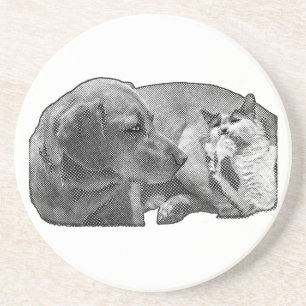 Sip Pause, Tiny Pact Coaster