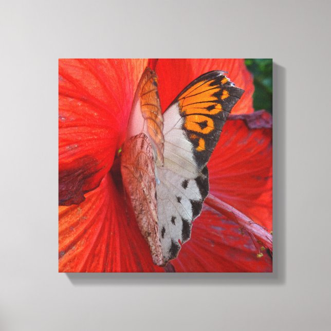 Sipping Sweetly Canvas Print (Front)