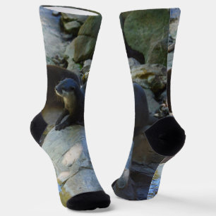**"Sips by the Stream: Otters Drinking from River  Socks