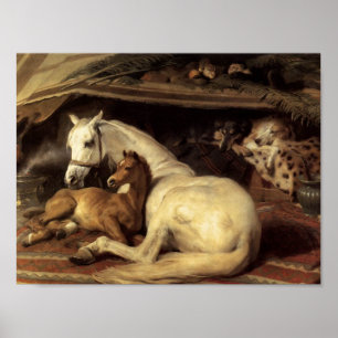 Sir Edwin Henry Landseer   The Arab Tent Poster