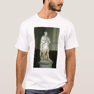 Sir Isaac Newton T-Shirt